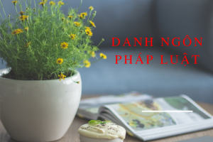 danh ngôn về pháp luật